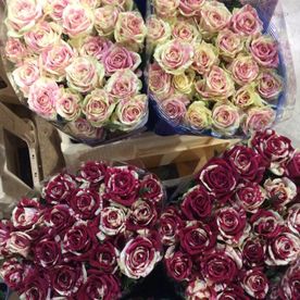 bouquets de roses blanches et violettes